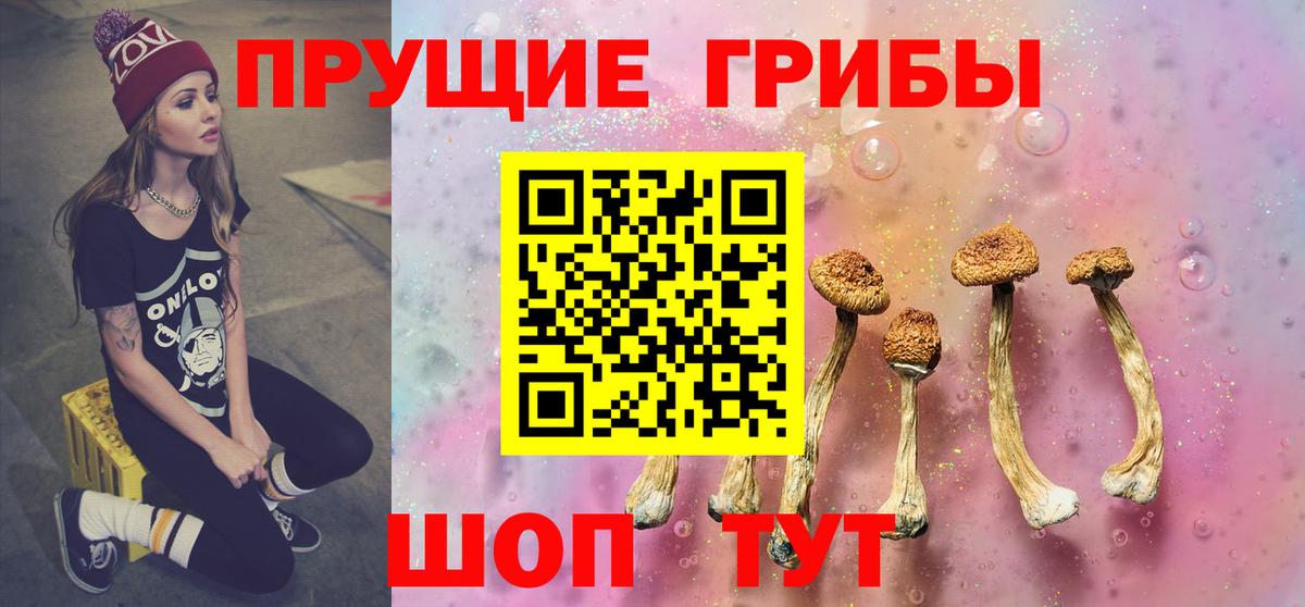 Топки  Галлюциногенные грибы GOLDEN TEACHER  Вход с VPN 